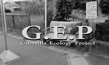 gep