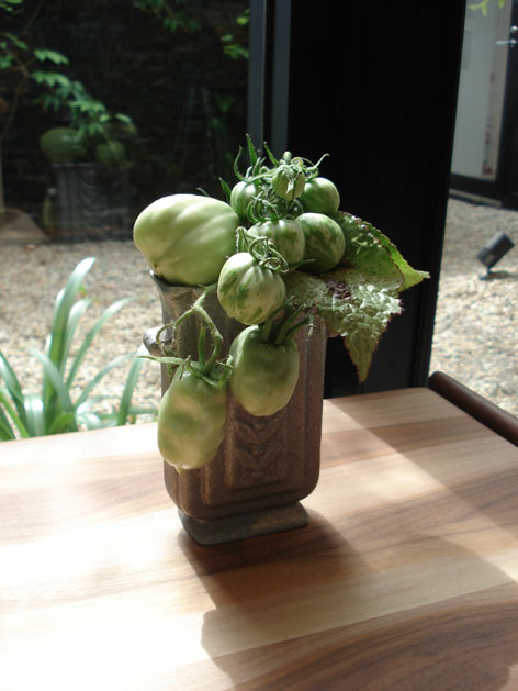 植物３