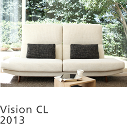 Vision CL 2013