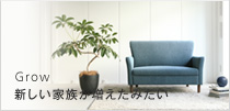 新しい家族が増えたみたい。