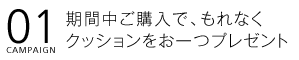 01.期間中ご購入で、もれなくクッションをお一つプレゼント
