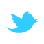 Twitter icon