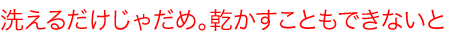 洗えるだけじゃだめ。乾かすこともできないと