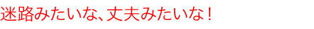 迷路みたいな、丈夫みたいな！