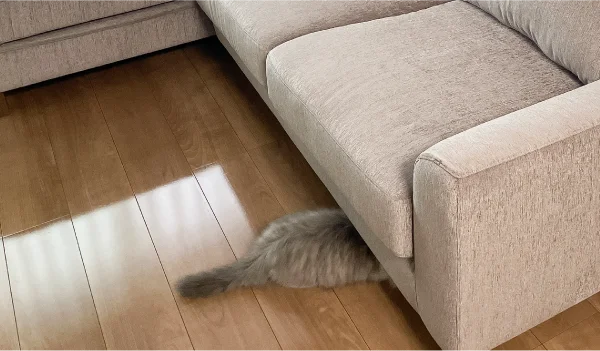 ソファの下に潜り込む猫