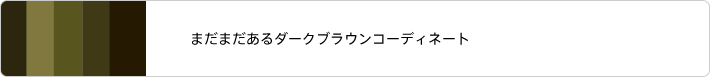まだまだあるダークブラウン系のコーディネート