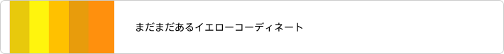 まだまだあるグレー系のコーディネート