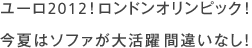 今年の夏は自宅でのスポーツ観戦でキマリ！