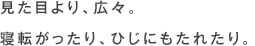 寝転がってテレビを見るのが丁度いい。