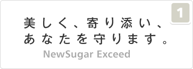 NewSugar Exceed