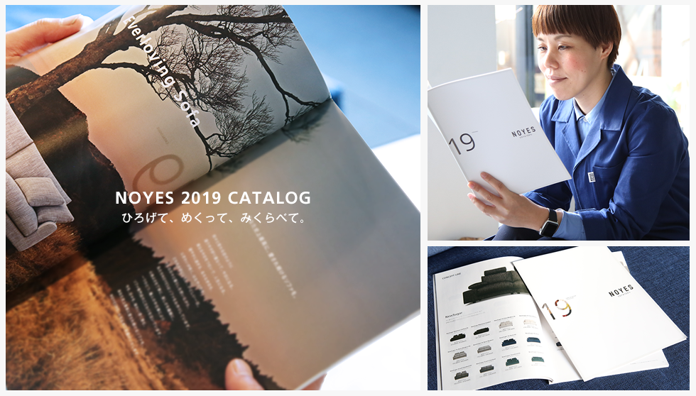 NOYES 2019 CATALOG