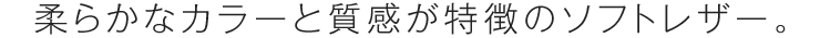 柔らかなカラーと質感が特徴のソフトレザー。