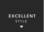 EXCELLENT STYLE