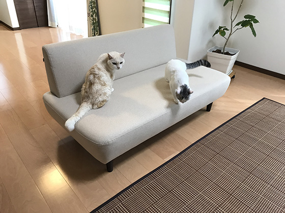 写真のお部屋は愛知県犬山市にお住まいのT.Hさんのお部屋です。