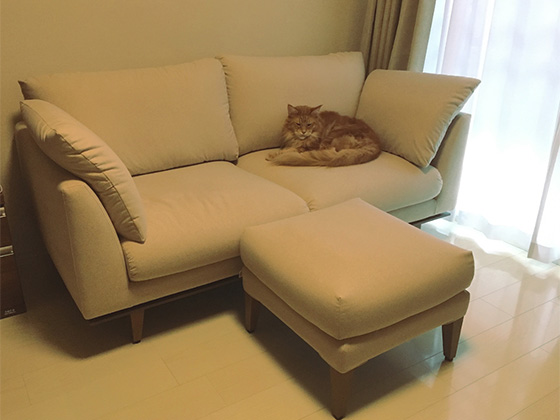 ソファのある暮らし - 神奈川県 M.O様邸 | 国産ソファブランド NOYES