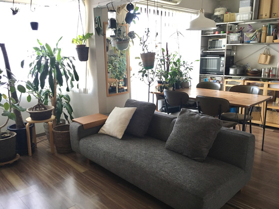 東京都渋谷区にお住まいのy S様邸のお部屋 ソファ専門店 Noyes 東京都渋谷区にお住まいのy S様邸のお部屋 ソファ専門店 Noyes