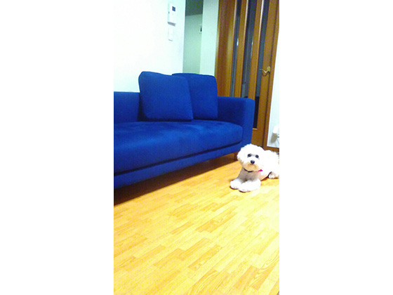 QnsɂZ܂ N.Sl@̂