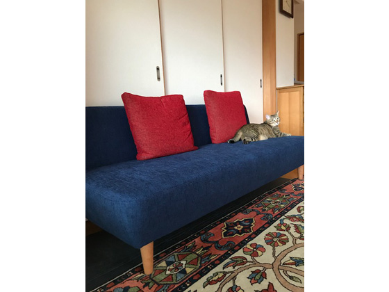 お客様のお部屋のお写真