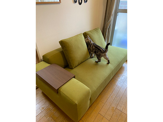 ソファのある暮らし - 大阪府 A.H様邸 | 国産ソファブランド NOYES