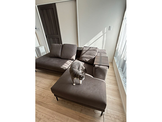 ソファのある暮らし - 大阪府 Y.A様邸 | 国産ソファブランド NOYES