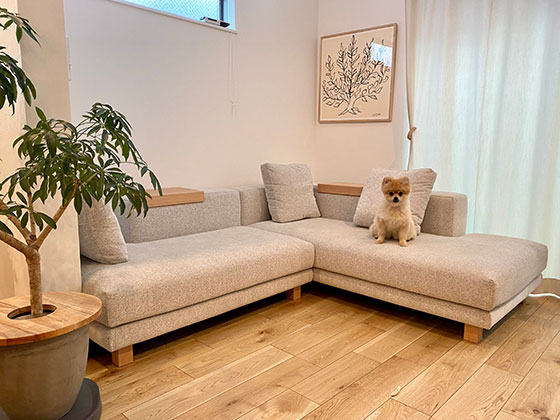 ソファのある暮らし - 東京都 Y.Y 様邸 | 国産ソファブランド NOYES