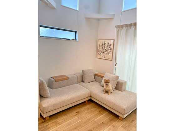 ソファのある暮らし - 東京都 Y.Y 様邸 | 国産ソファブランド NOYES