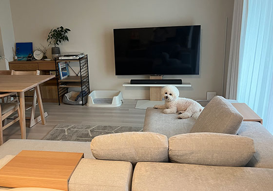 ソファのある暮らし - 神奈川県 T.Y様邸 | 国産ソファブランド NOYES