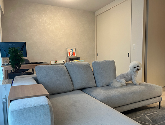 ソファのある暮らし - 神奈川県 T.Y様邸 | 国産ソファブランド NOYES