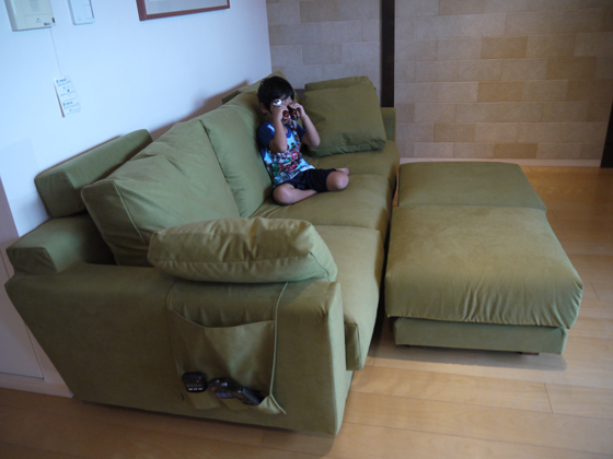 ソファのある暮らし - 東京都 K.F様邸 | 国産ソファブランド NOYES