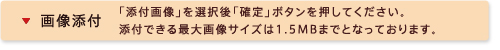 �摜�Y�t�͂����炩��ł��܂��B