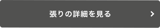 張りの詳細を見る