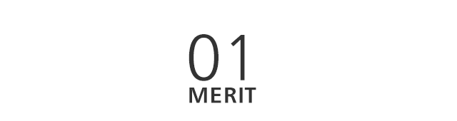 01MERIT
