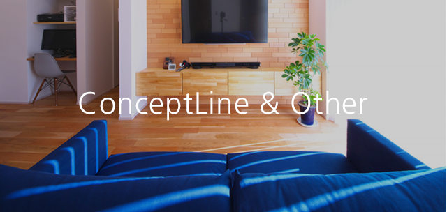 ConceptLine Other
