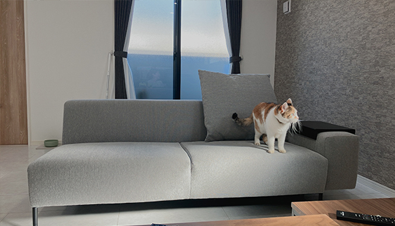 Bass 3人掛け片ひじ」 製品詳細ページ | 国産ソファブランド NOYES