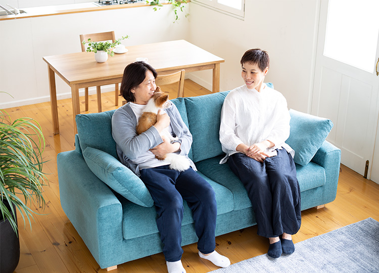 noyes ノーイエス 三人掛け ソファー